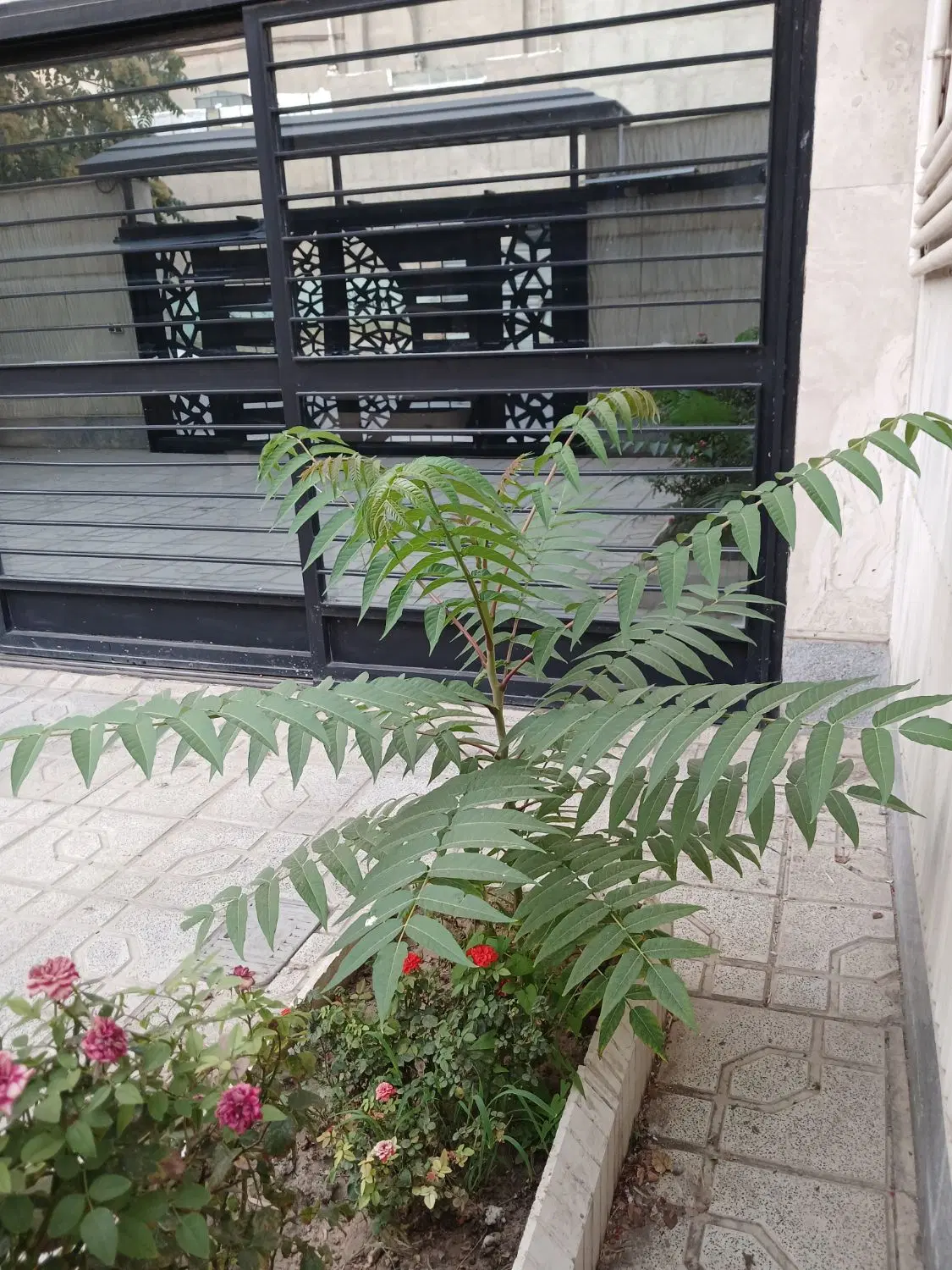 آپارتمان ۱۲۰ متری