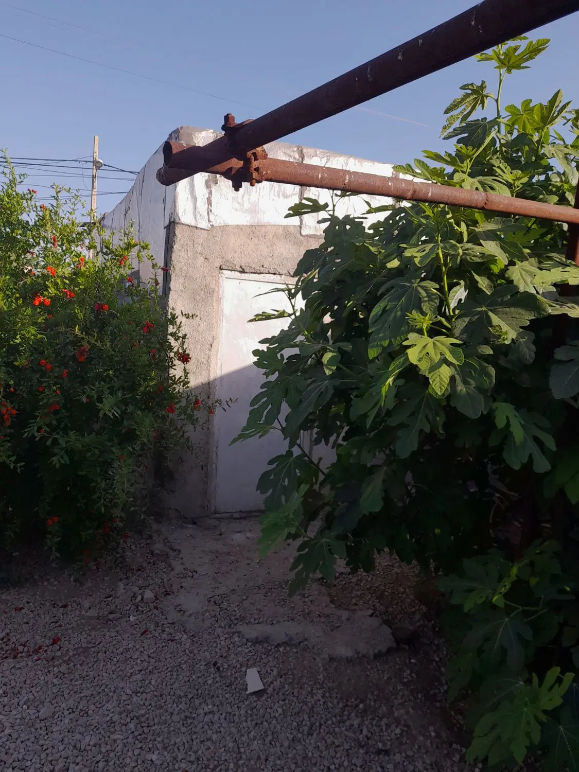 فروش خانه