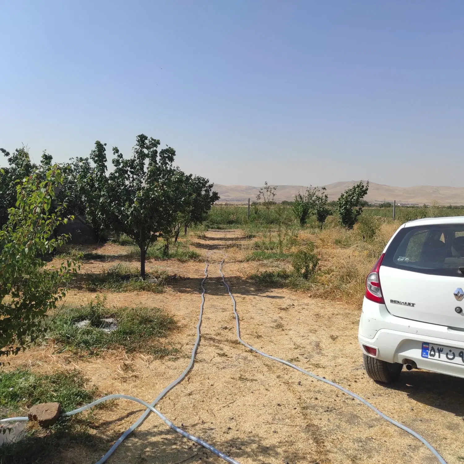 باغ کهریز الهیه