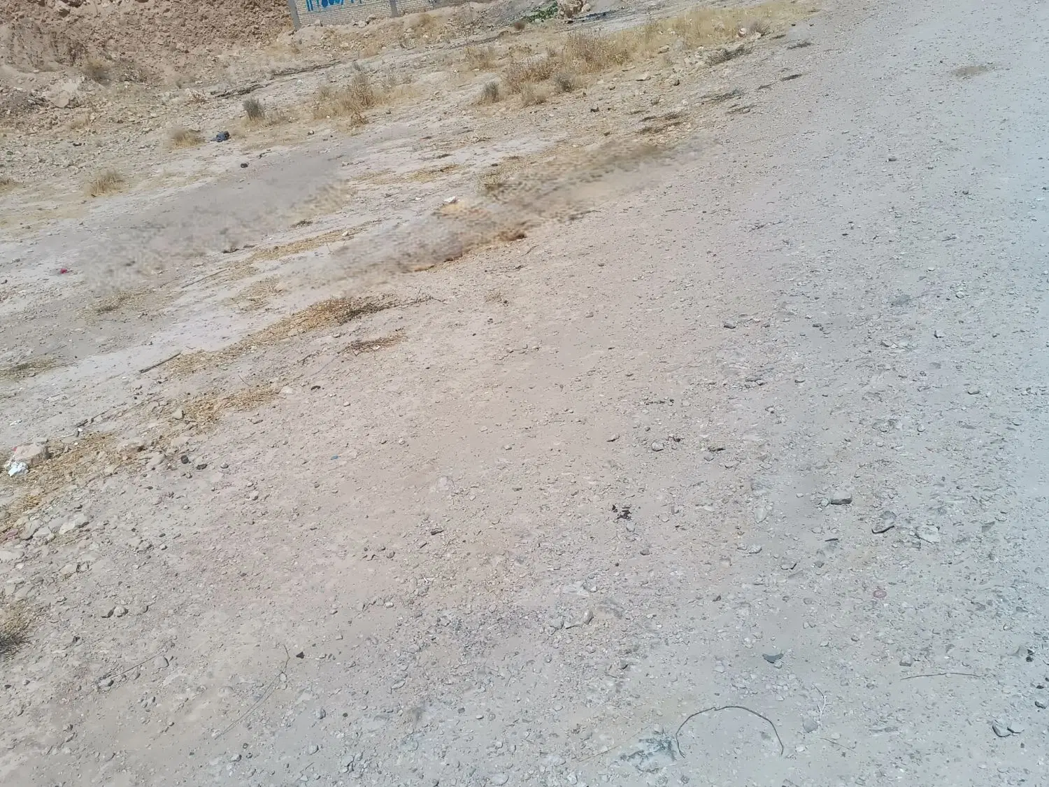 زمین ۱۱۹ متری شاپورجان،کوچه ۱۰ متری،فرصت ویژه