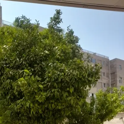 رهن کامل آپارتمان ۳خواب در محله دستغیب