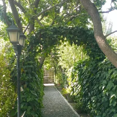 زمین باغ
