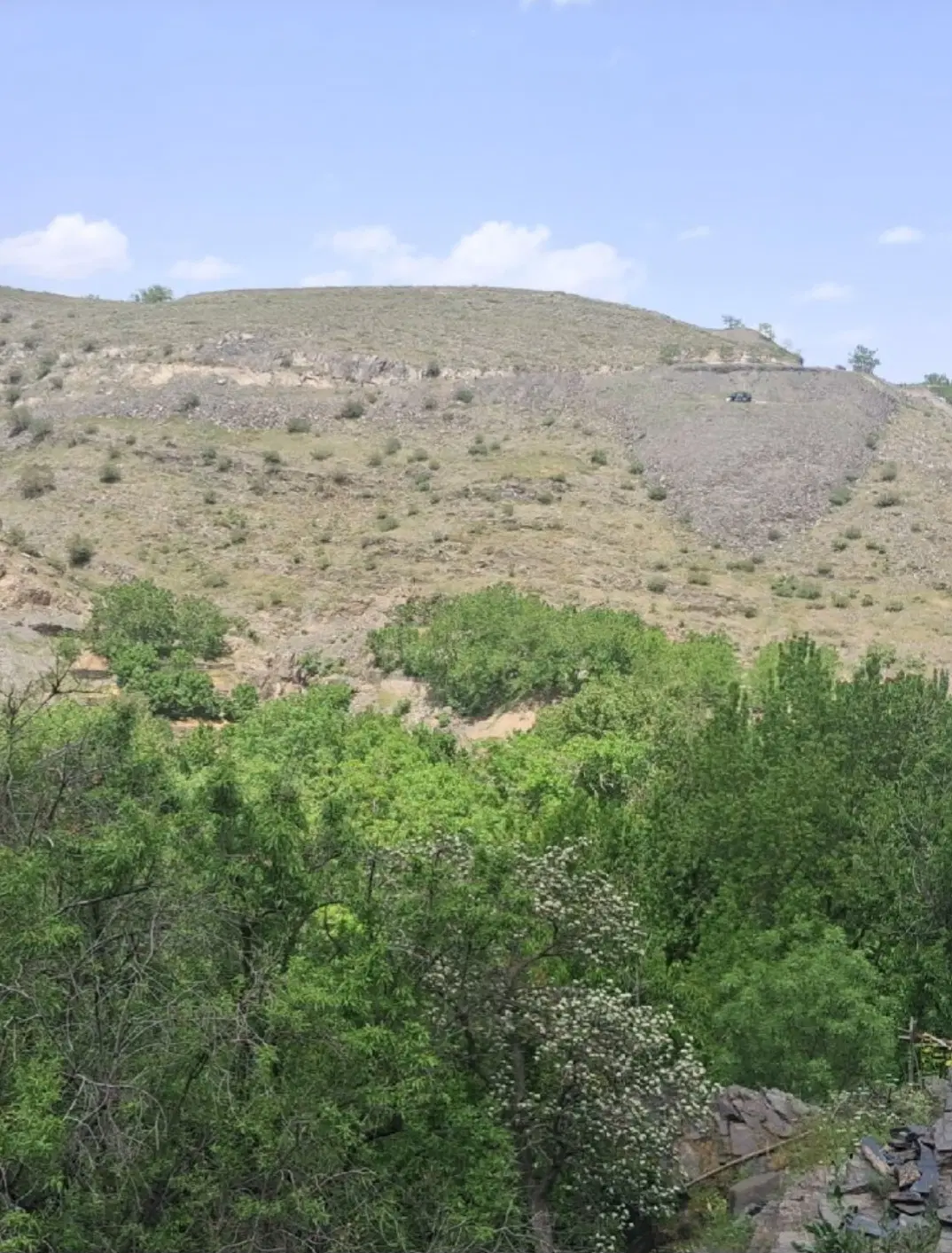 باغ ۳۰۰متری
