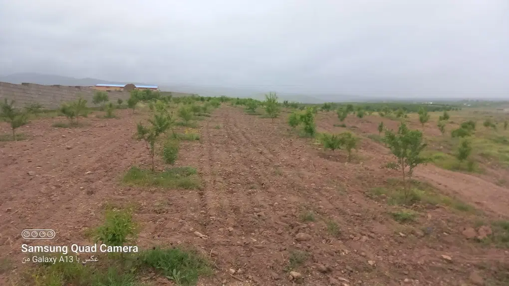 باغ بادام بناب مرند