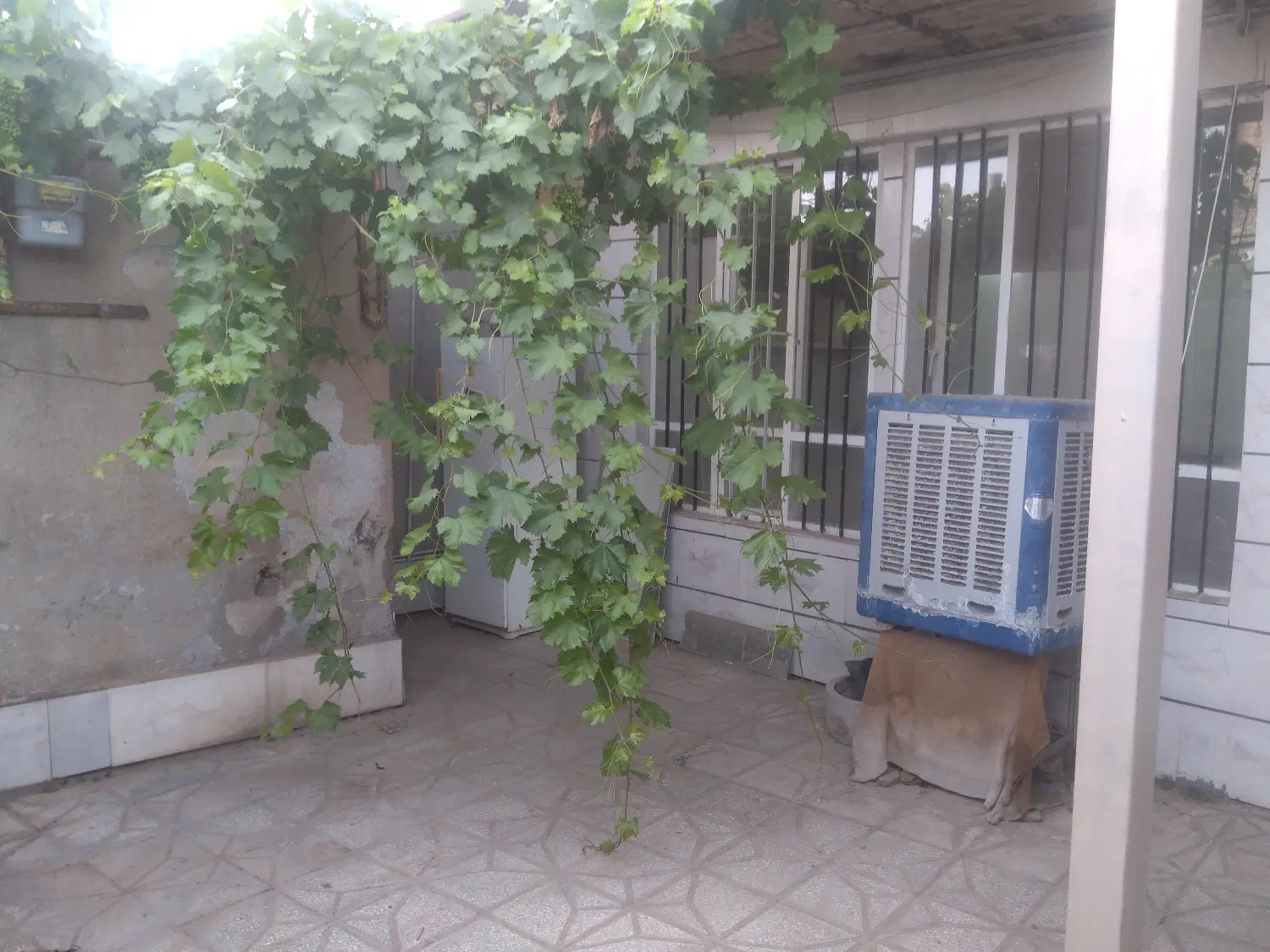 اجاره. خیابون فیاض بخش غربی 4هست