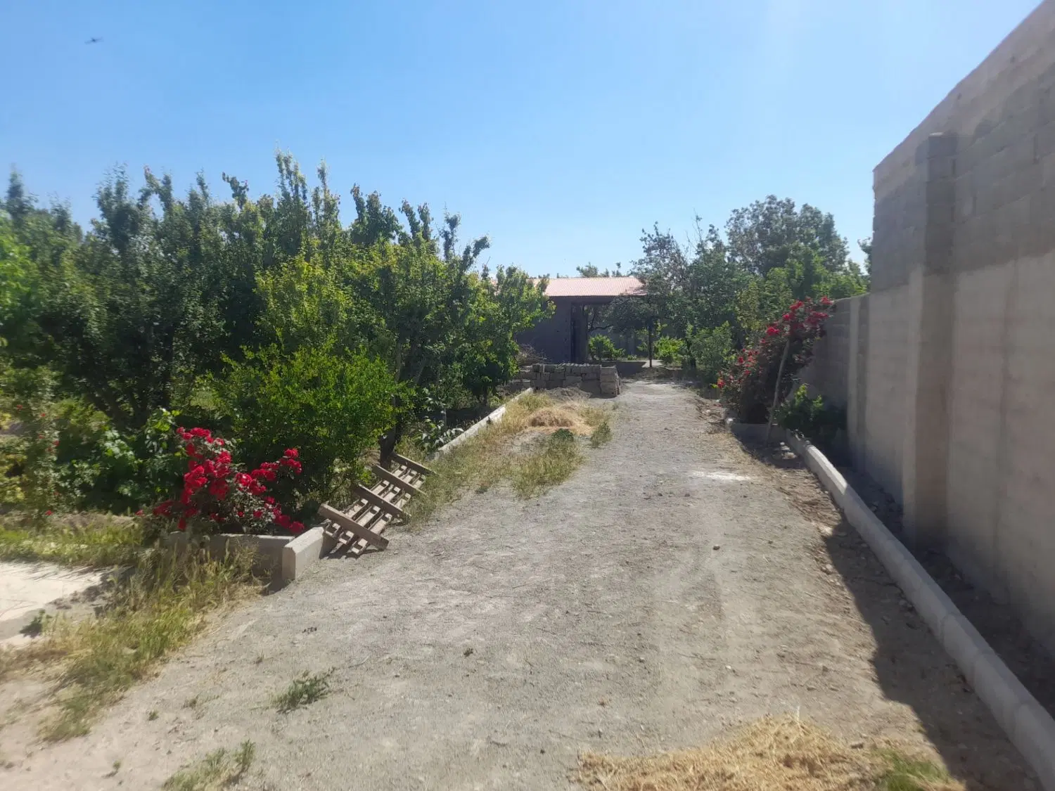 باغچه ۶۰۰متری چهاردیوار
