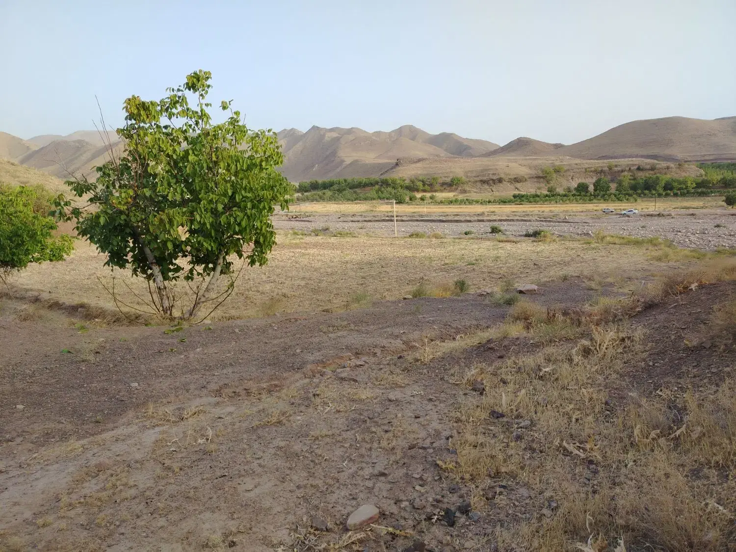 زمین باغی