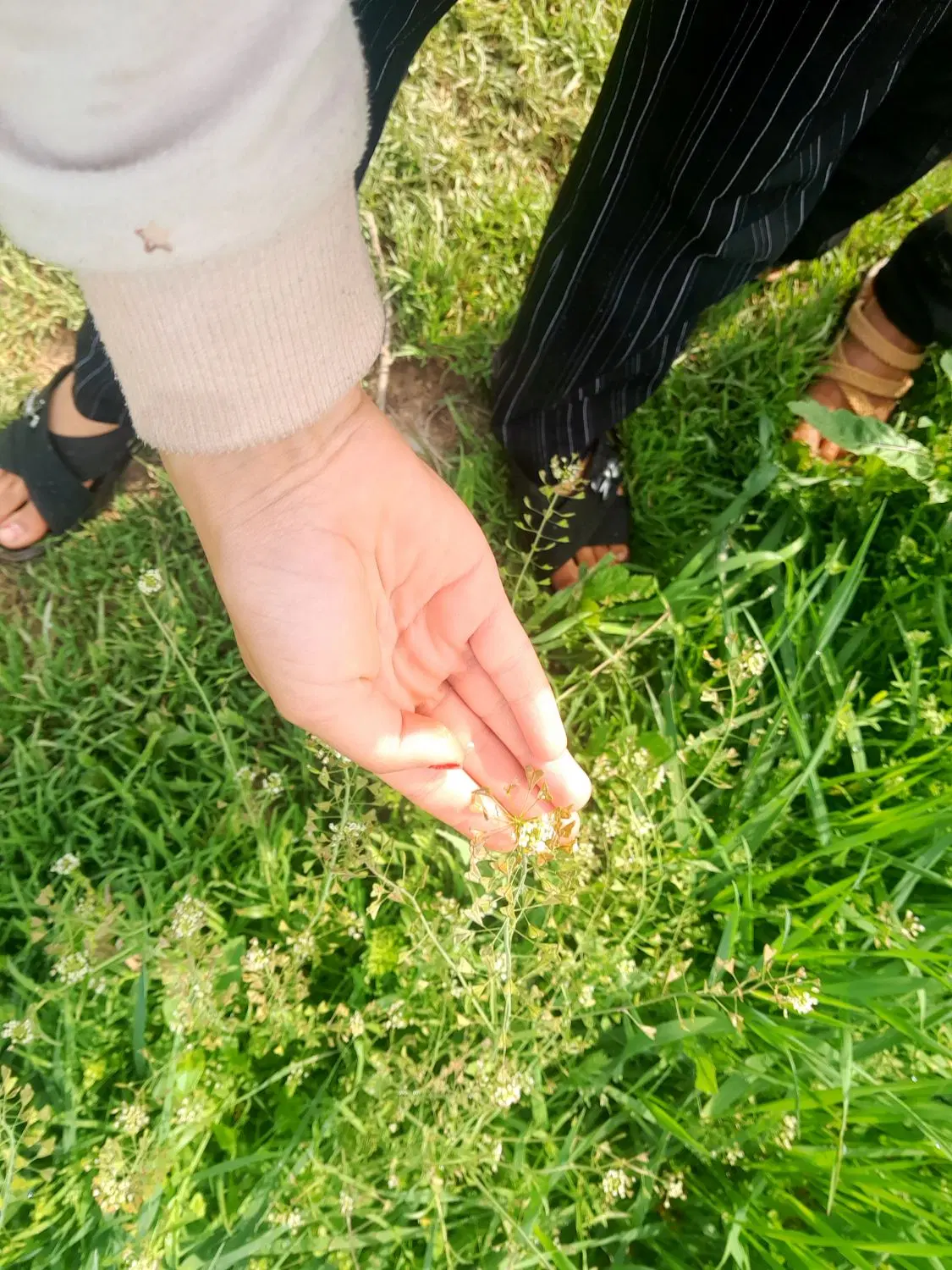 زمین تفکیک شده ۱۵۳متر