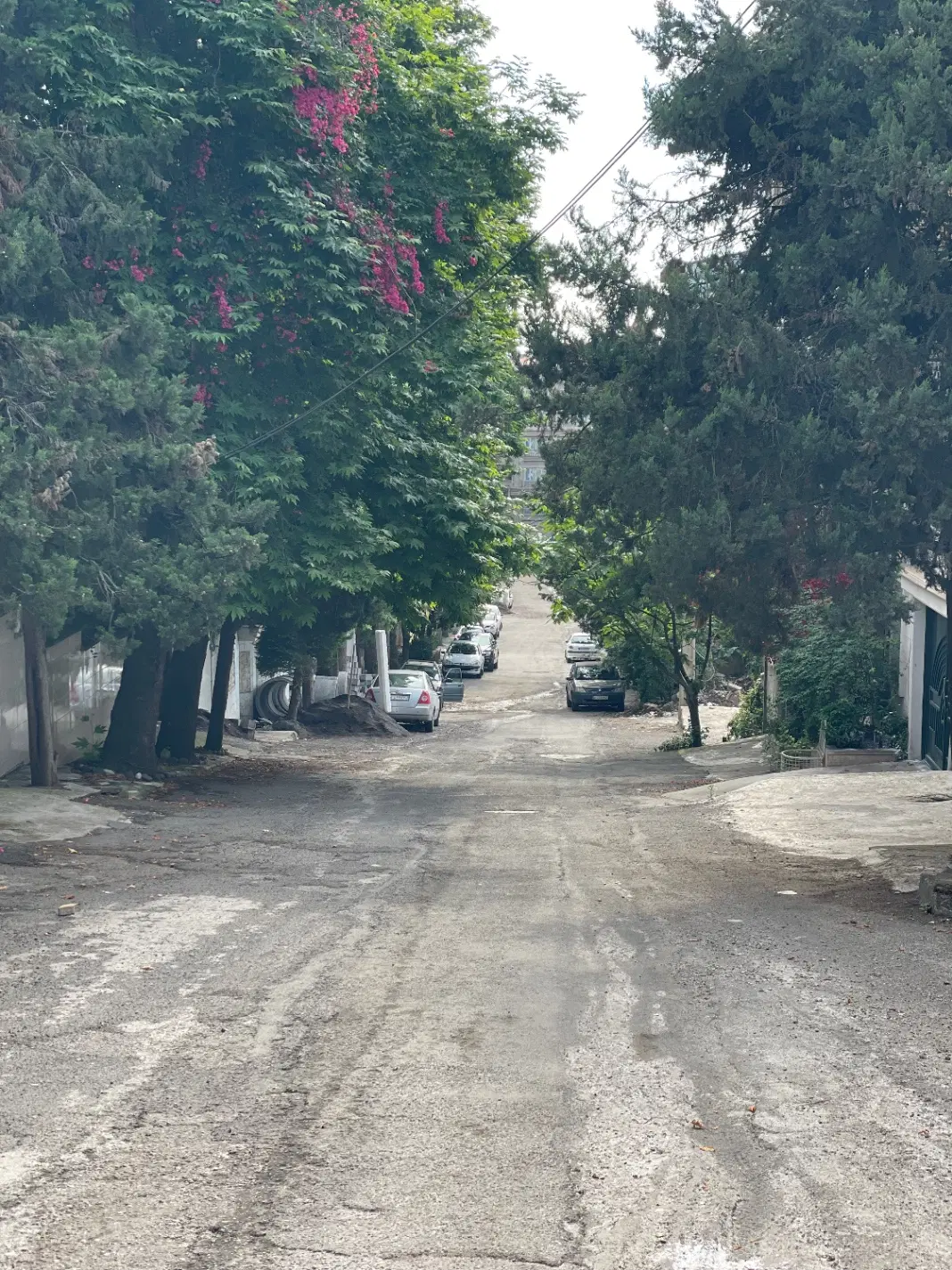 ملک مسکونی