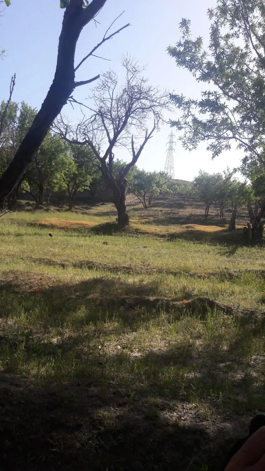 فروش زمین
