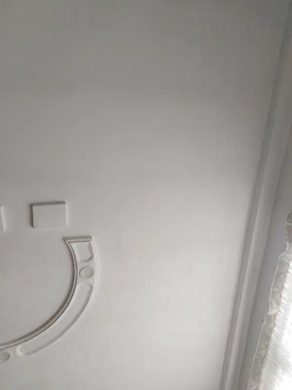 همخونه