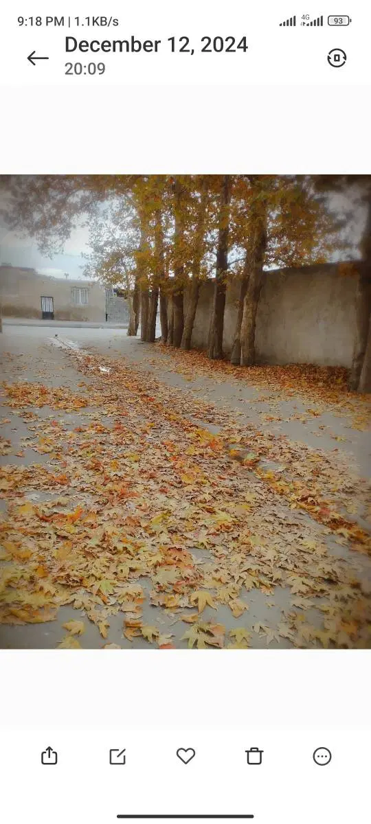 خانه ویلایی دربست اجاره