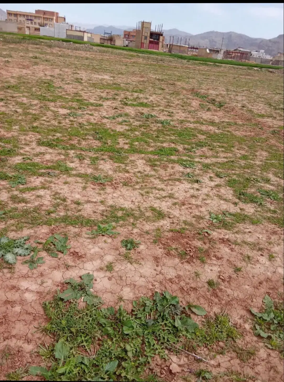زمین مسکونی