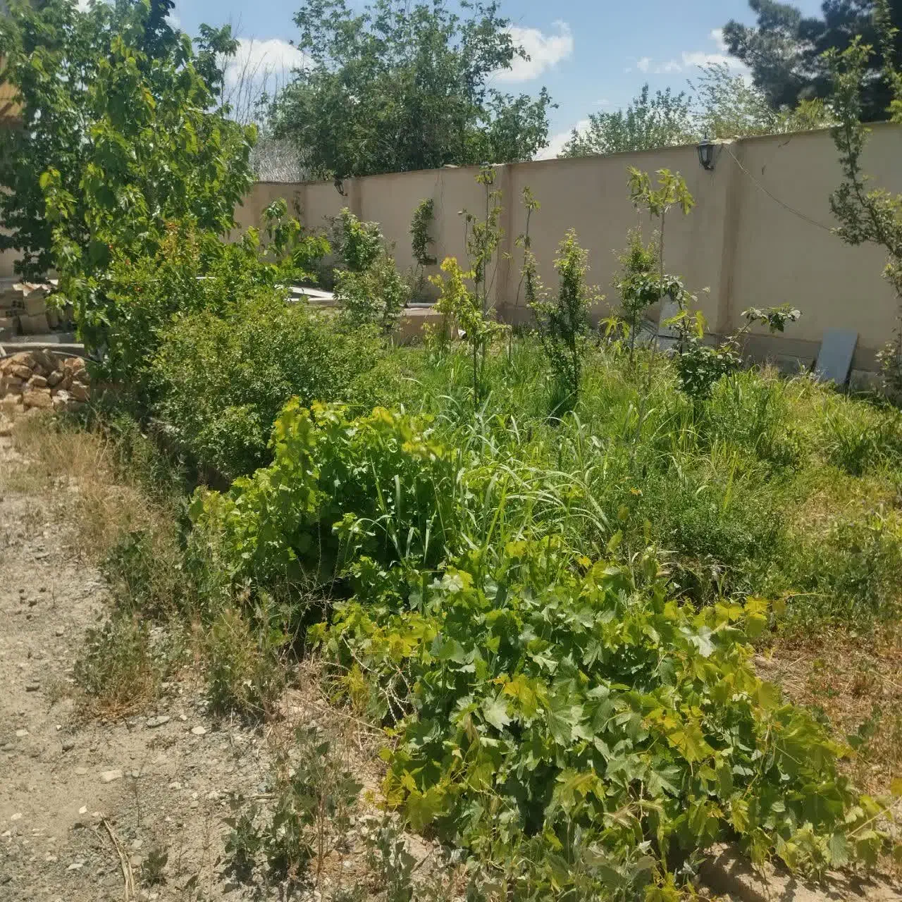 باغچه ۴۰۰ متری ماهدشت شخصی