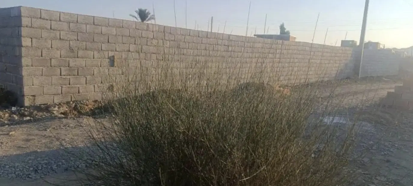 زمین نور آباد کهنوج