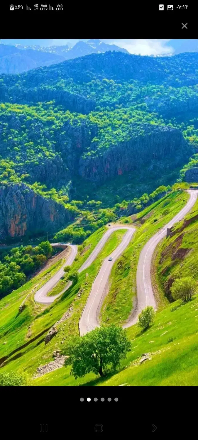 زمین محمدعلی پهلوان رجایی ۲
