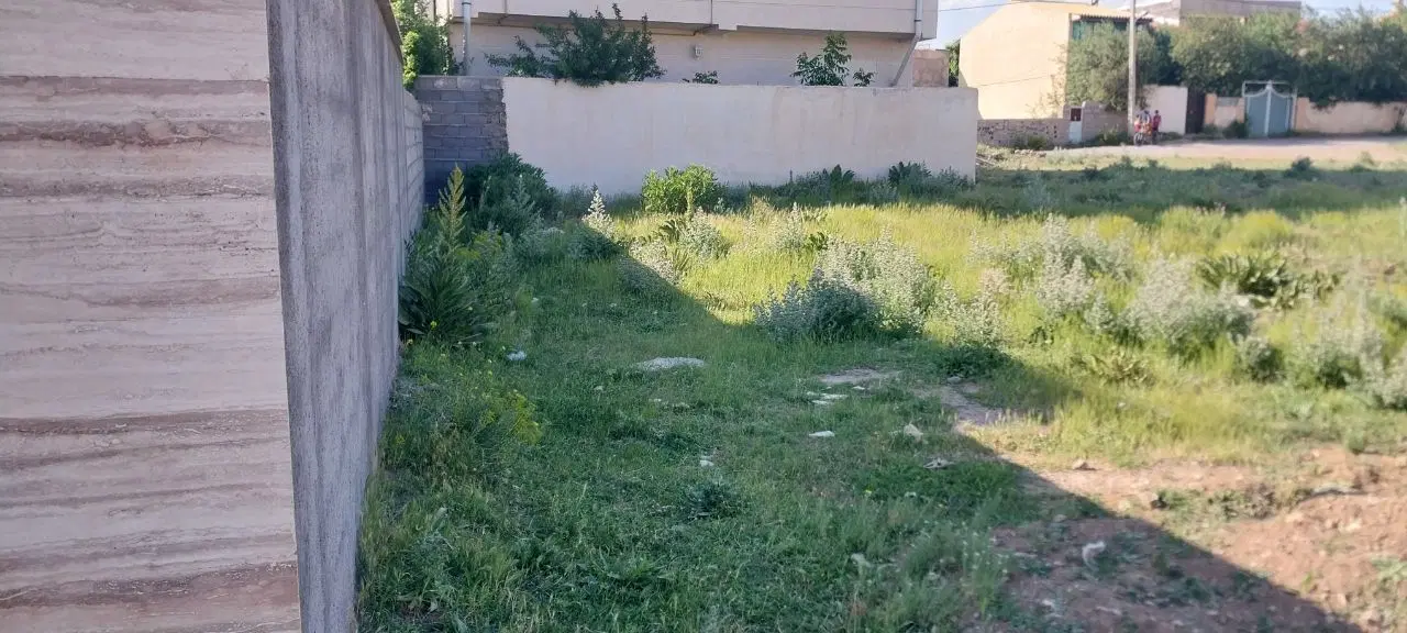 فروش فوری زمین ۲۹۵ متری درکوچه ۱۰متری