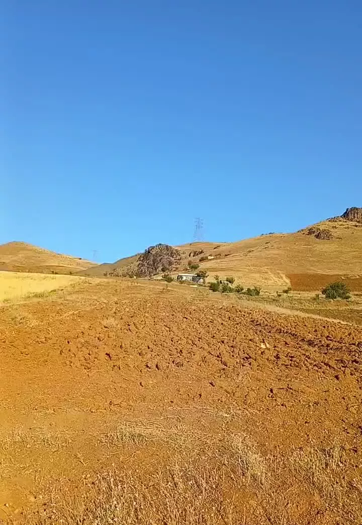 زمین کشاورزی