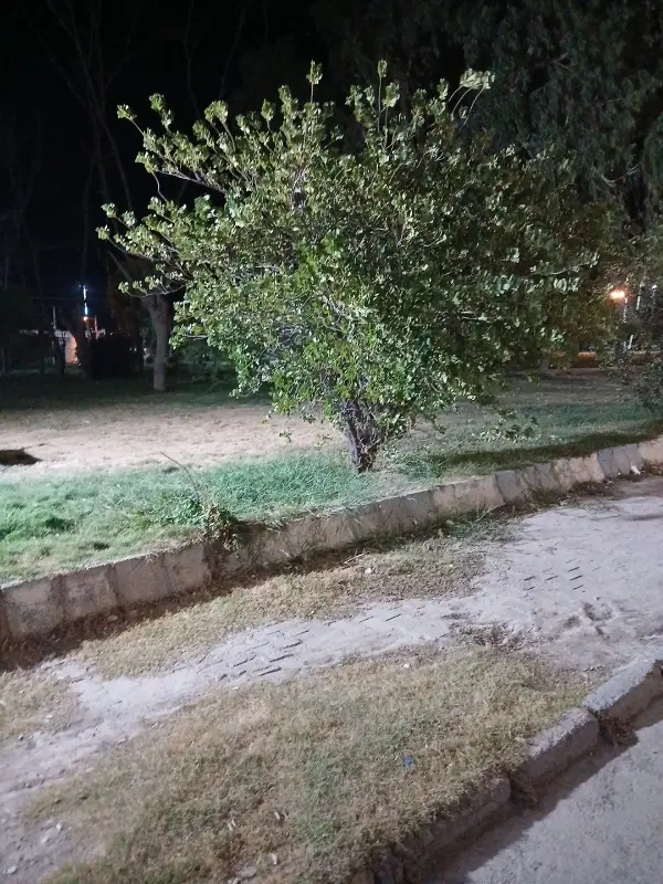 زمین مسکونی کوی ابوالفضل اهواز