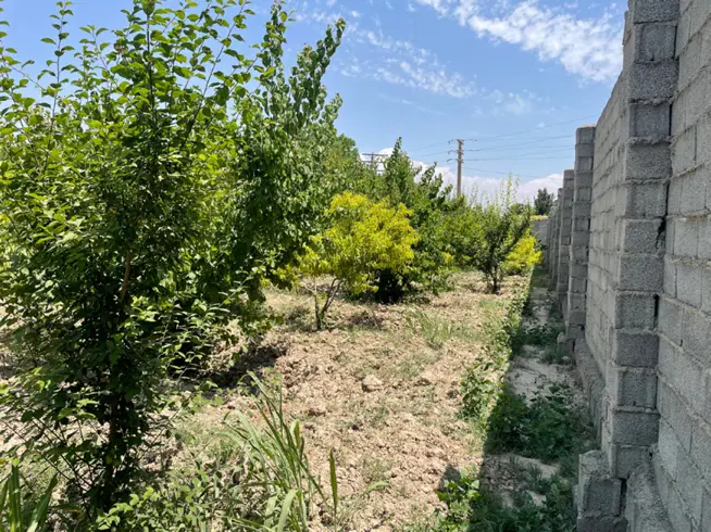 باغچه ۵۴۴متری در بکه شهریار