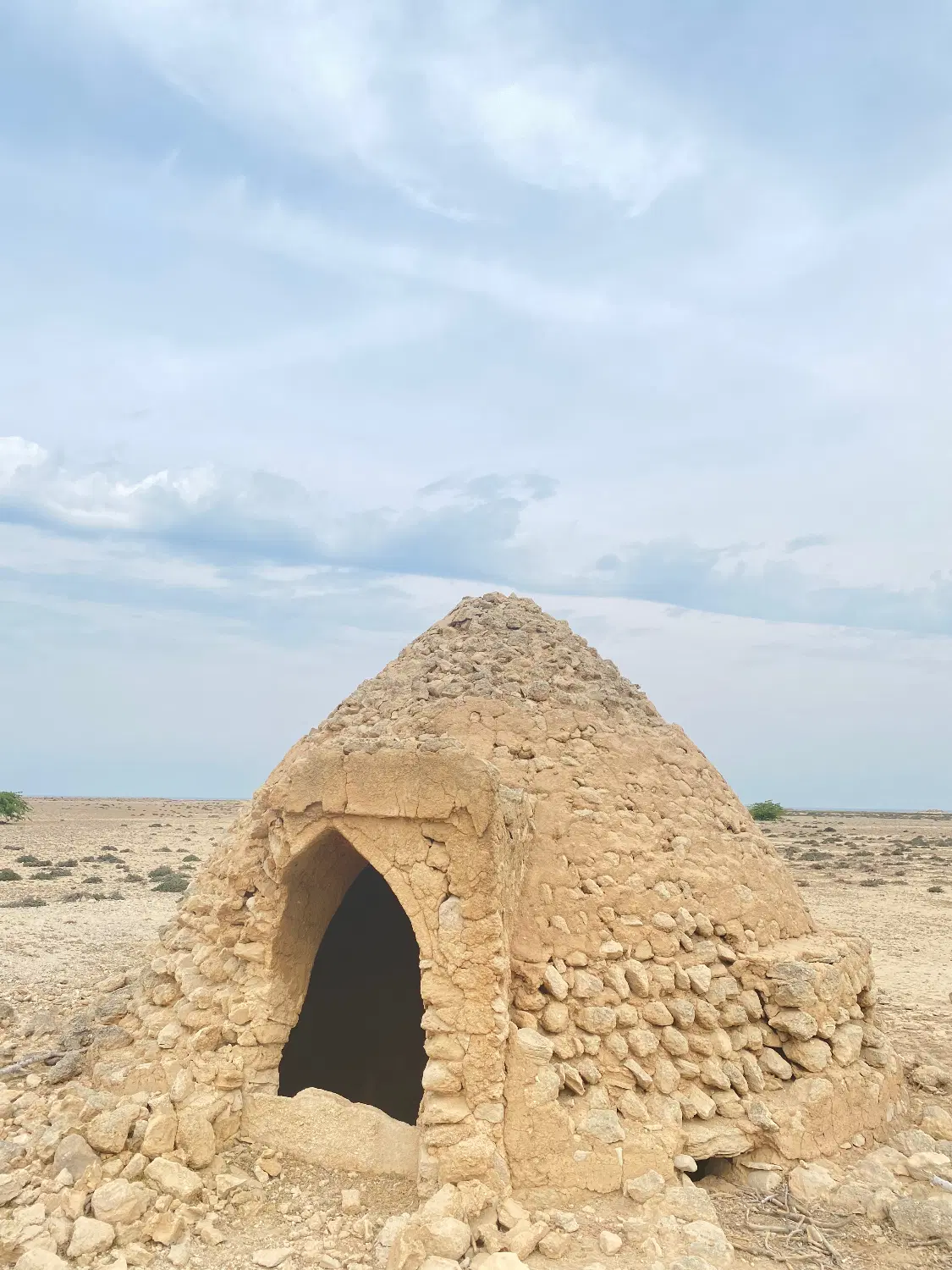 زمین