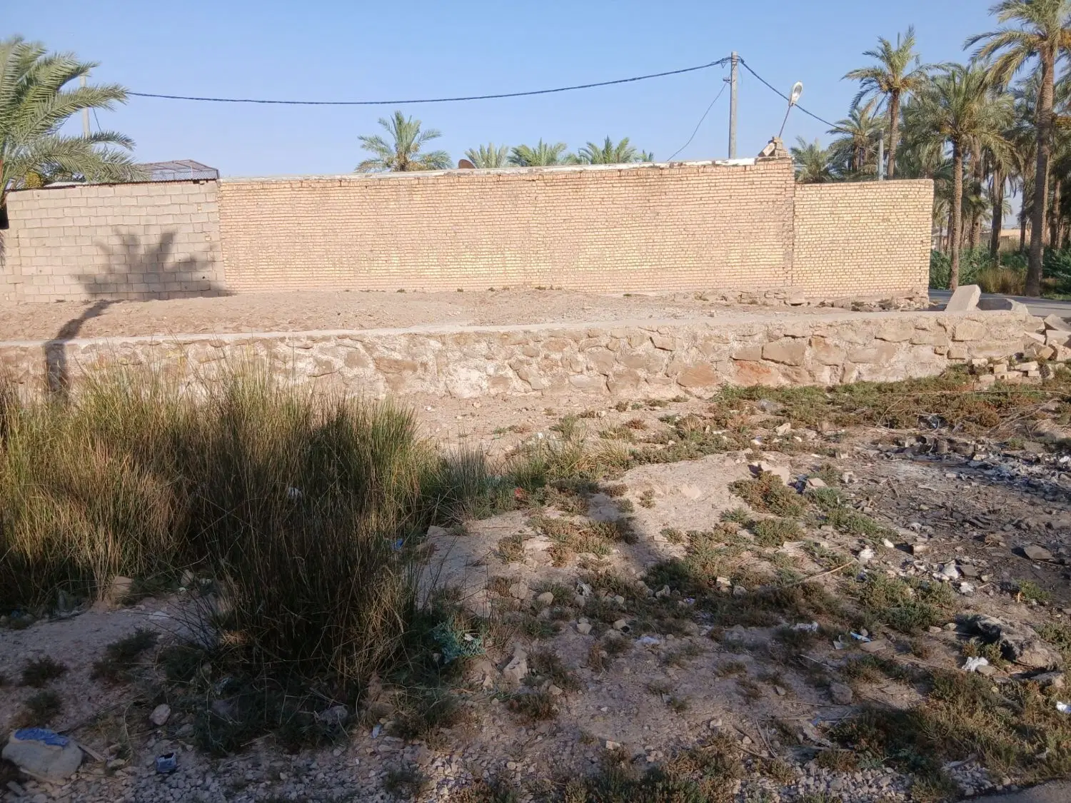 زمین پی زده