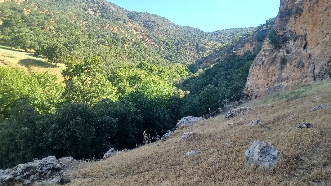 زمین باغ ارتش