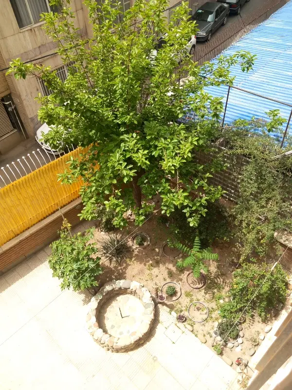 زمین به مساحت ۴۰۰متر استان گیلان لاهیجان لیالستان
