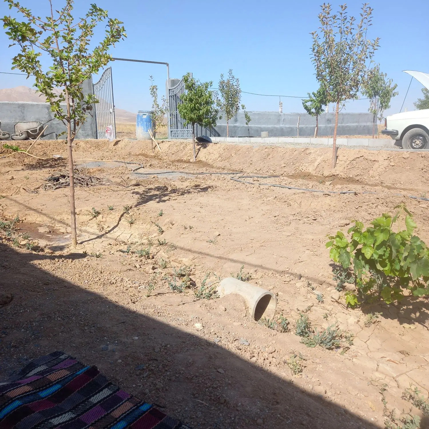 کارگاه جهت اجاره در خاتون اباد