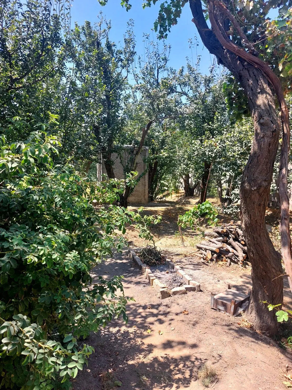 فروش ۱۵۰۰ متر باغچه (سند تک برگ)