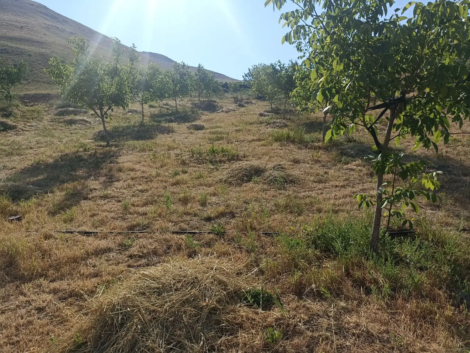 فروش زمین