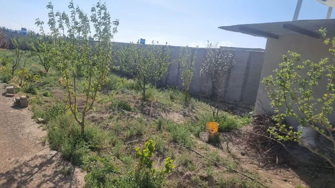 باغچه