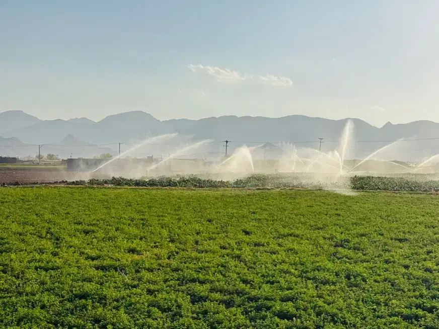 فروش زمین کشاورزی