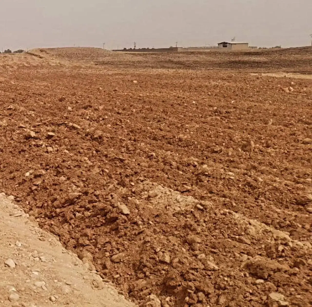 فروش زمین کشاورزی