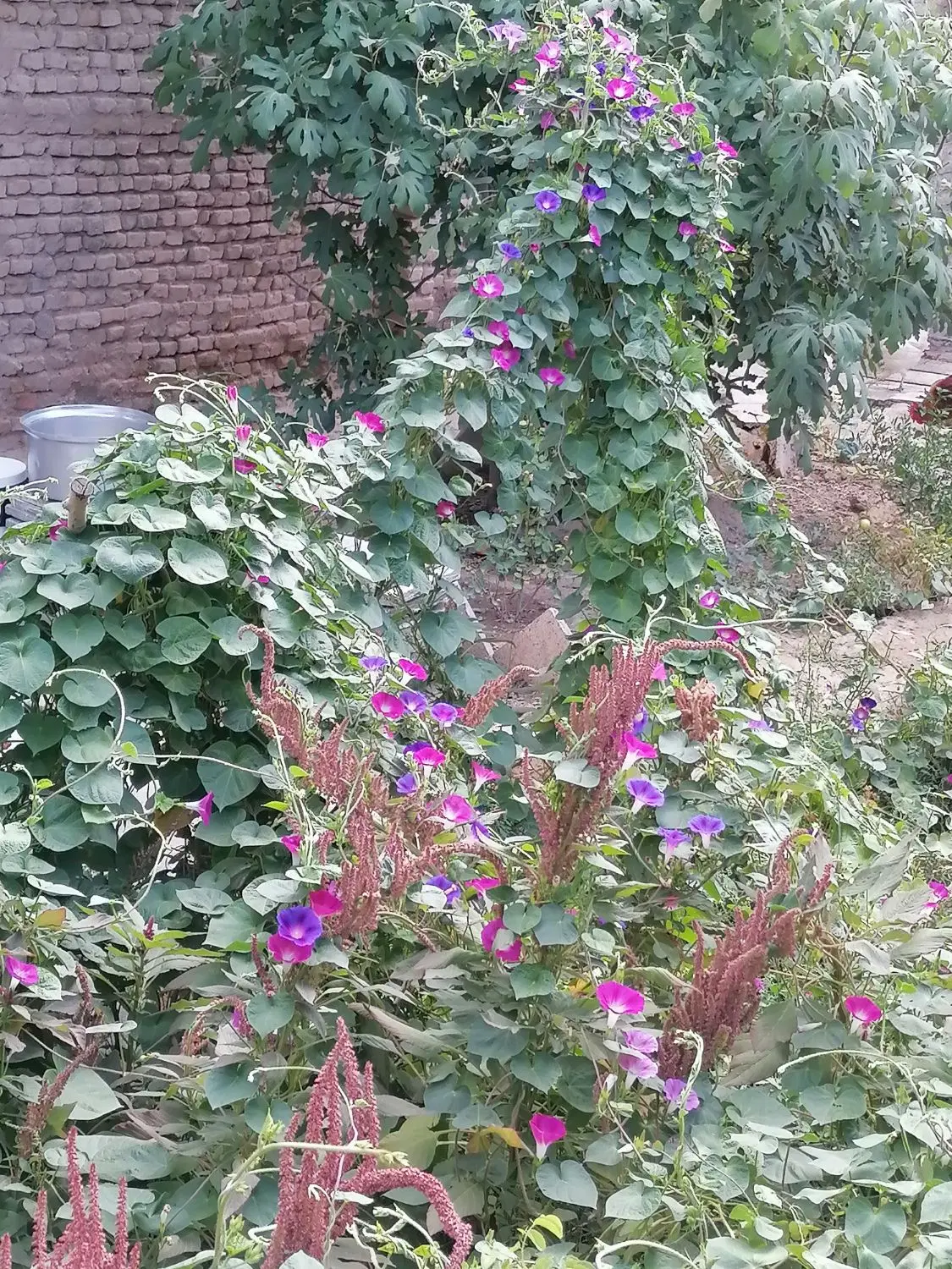 خونه ویلایی  معاوضه میشود