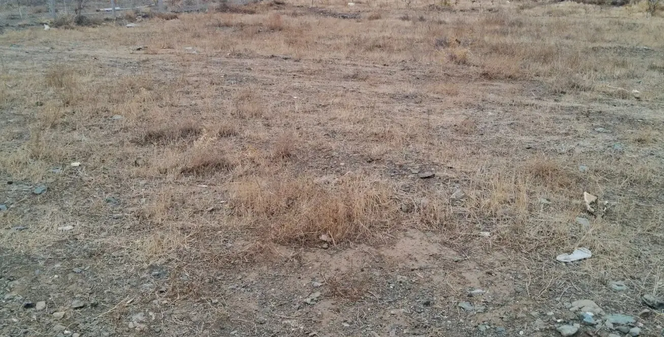 ۱۳ هزار متر مربع زمین مرغوب