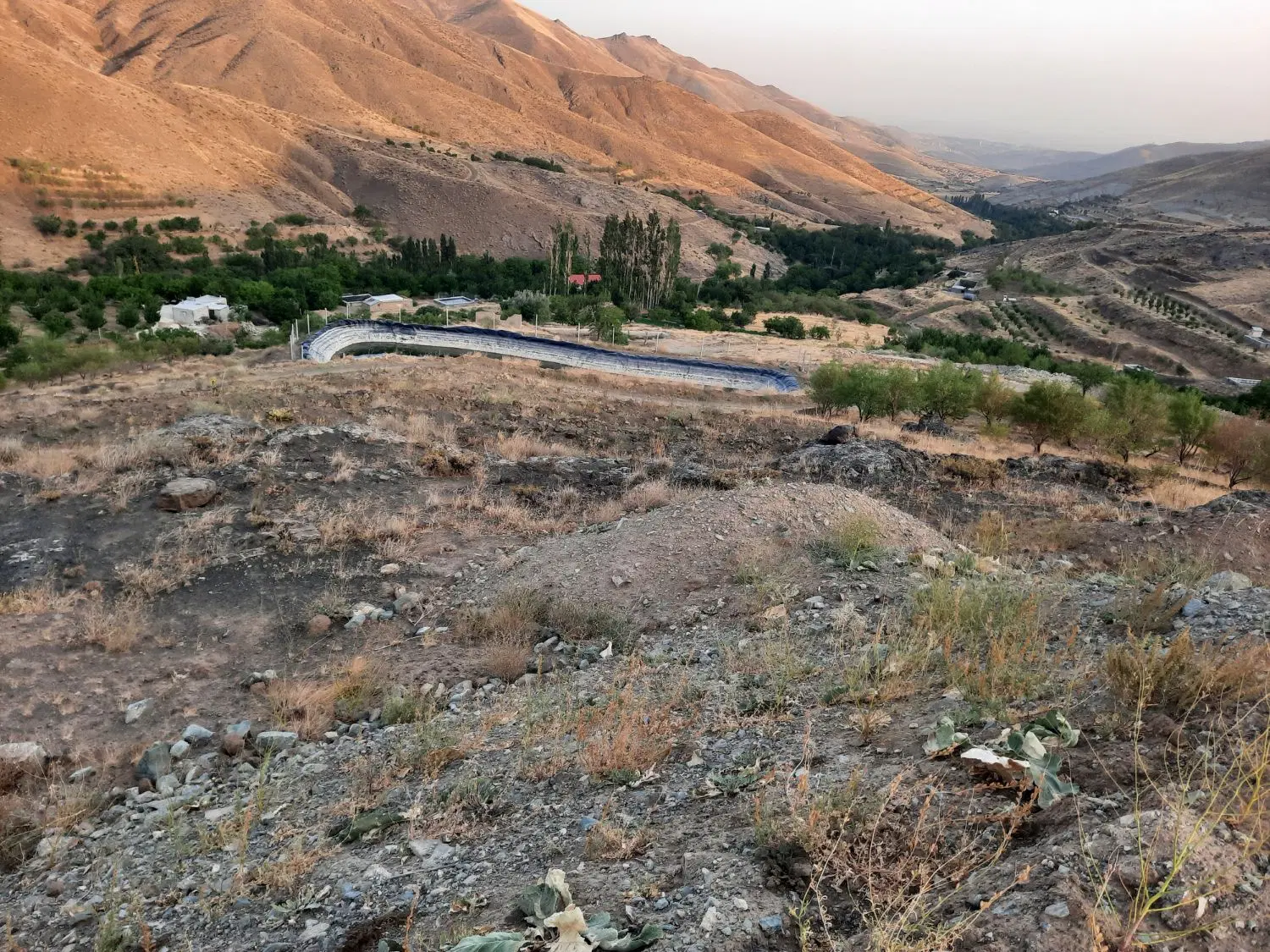 زمین کشاورزی