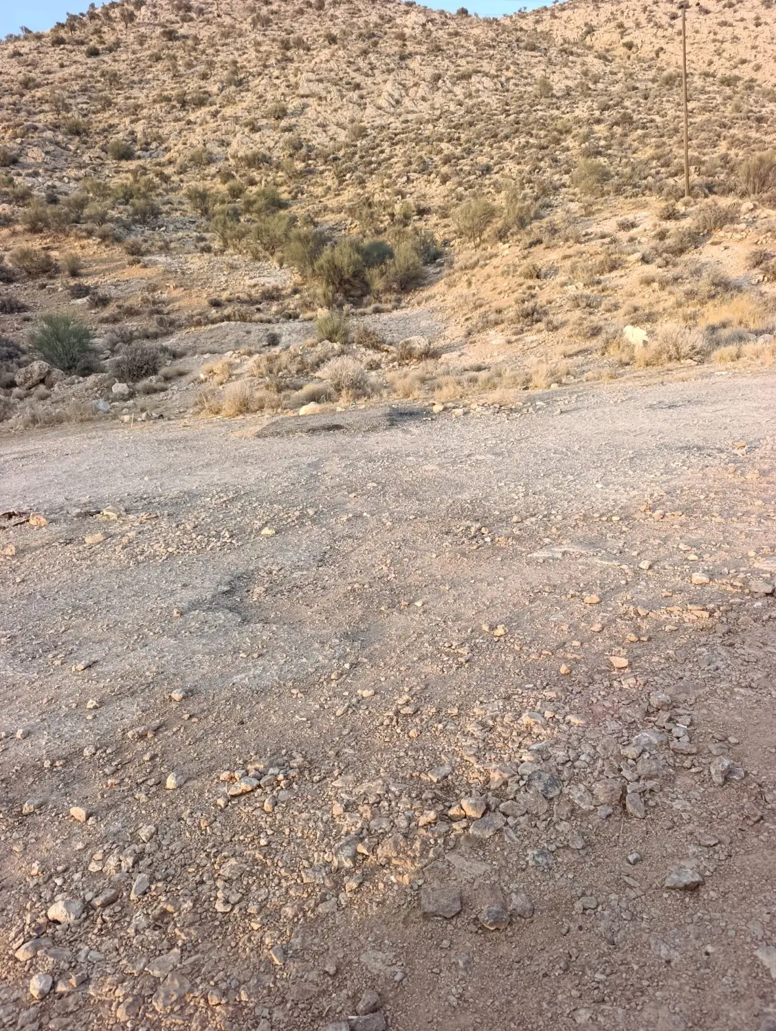 ۲۲۰ متر درب ساختمان روبرو دادگاه