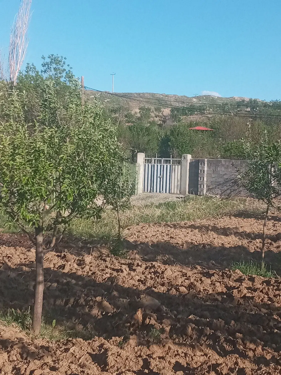 زمین چهار دیواری عالی برای درست کردن باغ ویلا