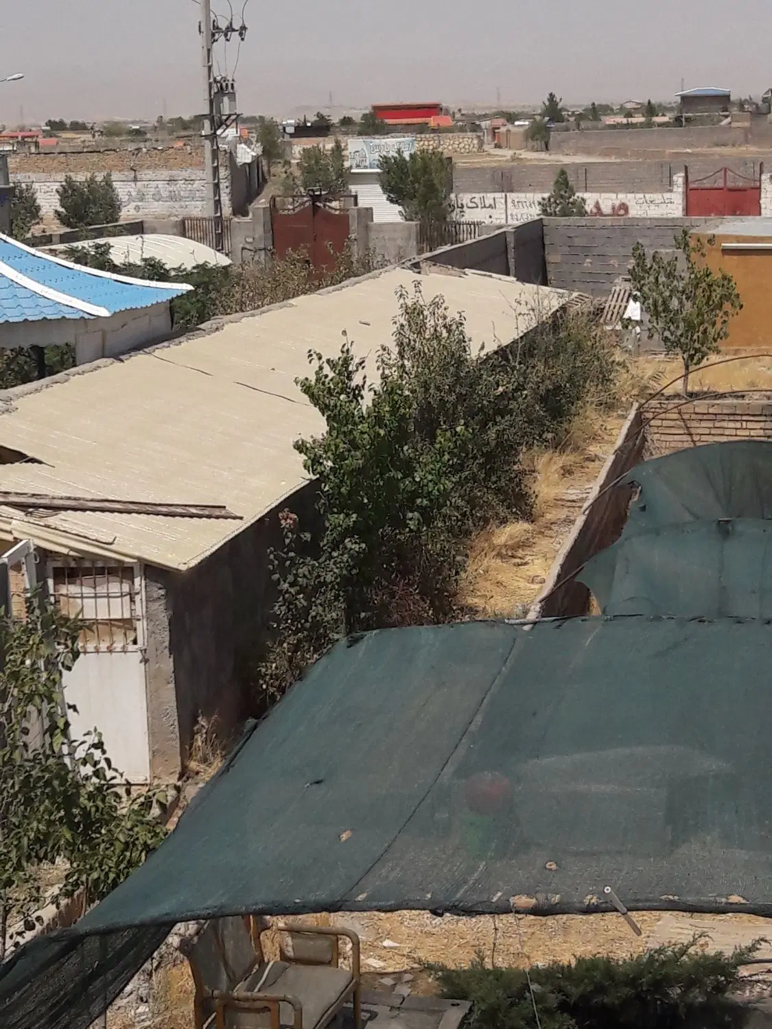 زمین باغی