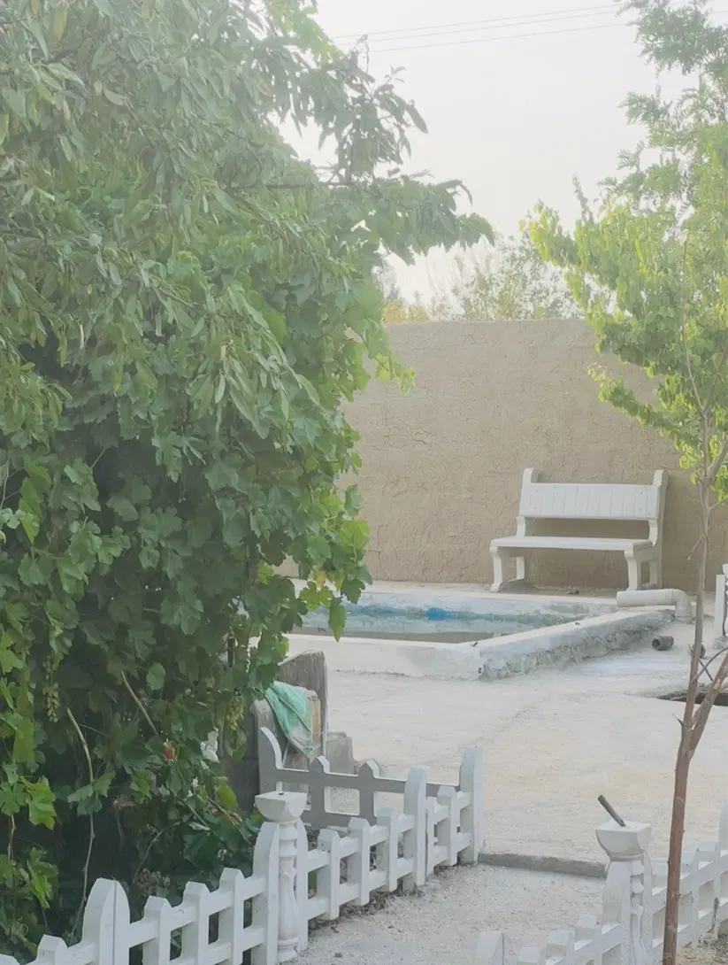 باغ و ویلا
