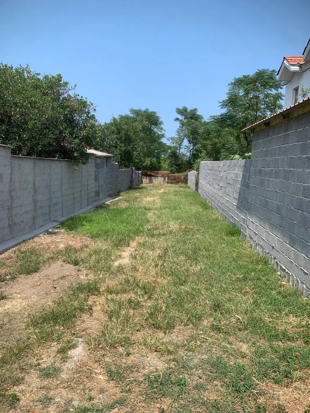 ۴۵۰ متر باغات دورمحصور