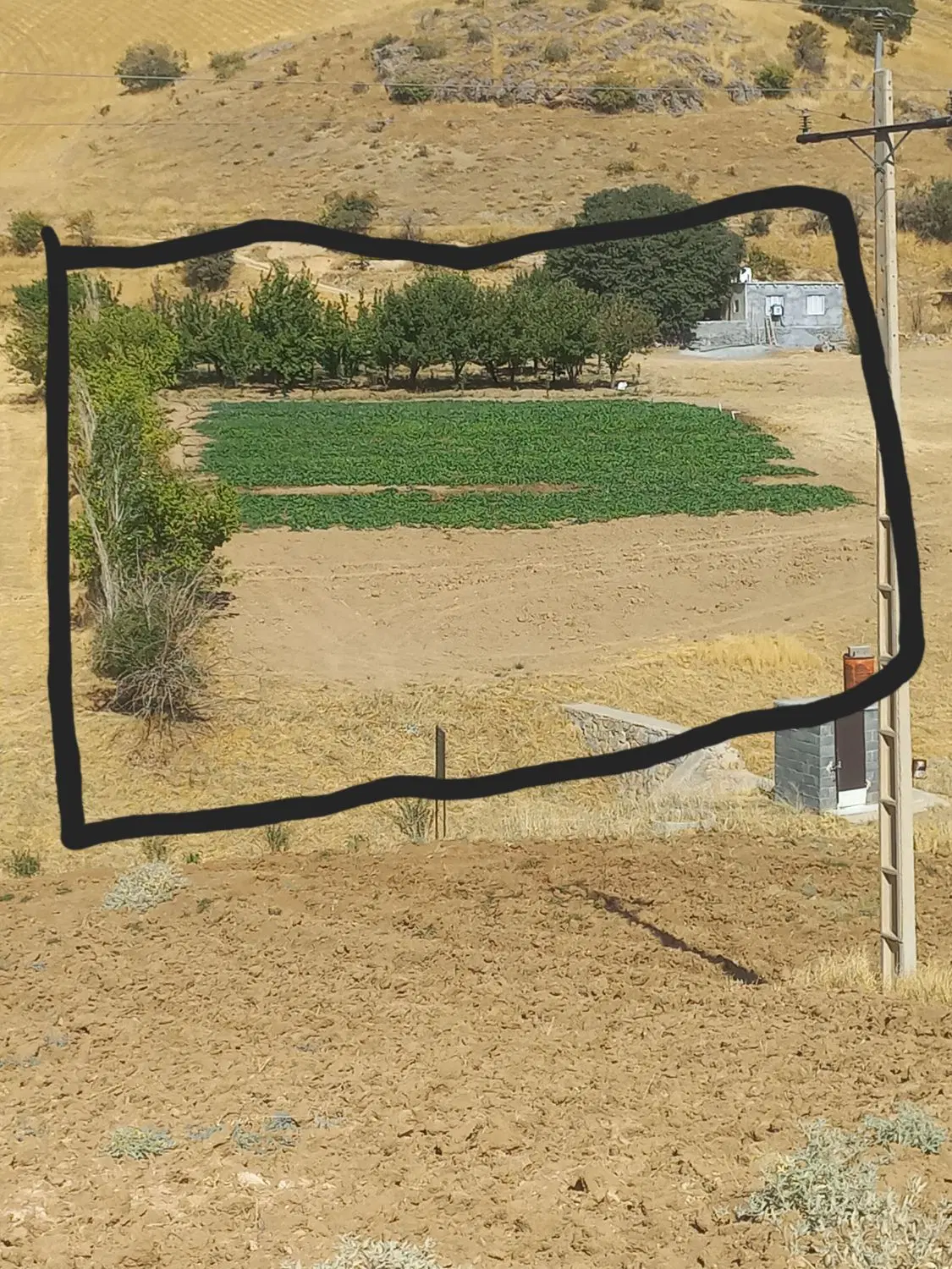 خانه باغ