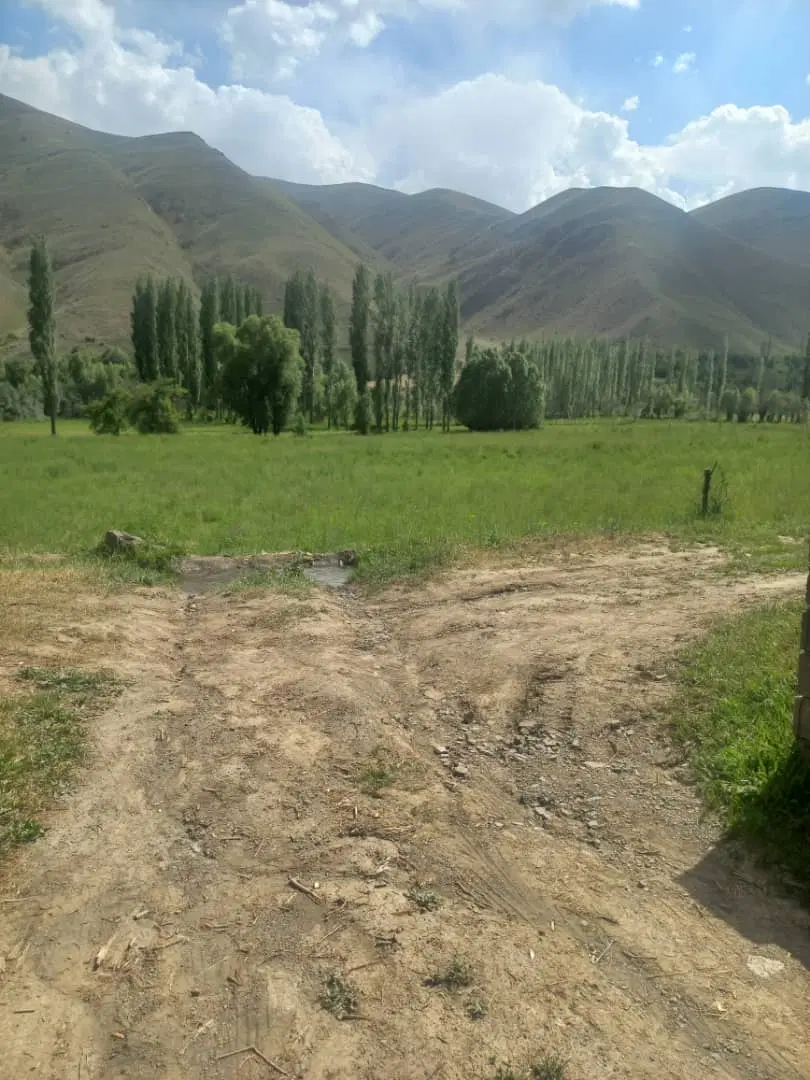 زمین کشاورزی