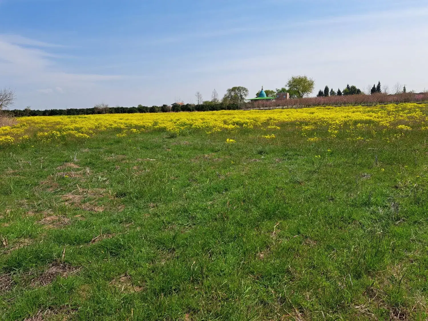 زمین کشاورزی ۴۷۰۰متر طول عرض عالی(روستای حمیداباد)