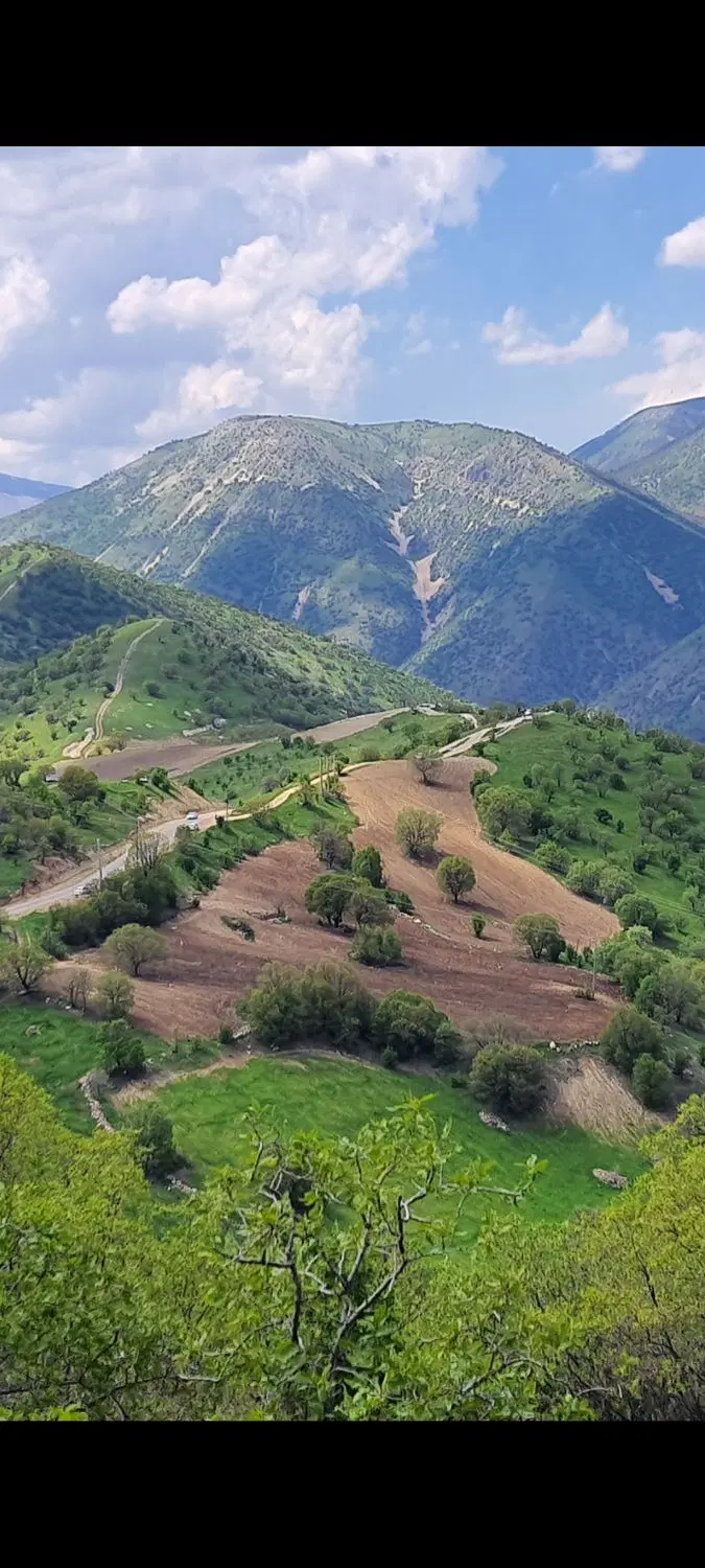 زمین کشاورزی