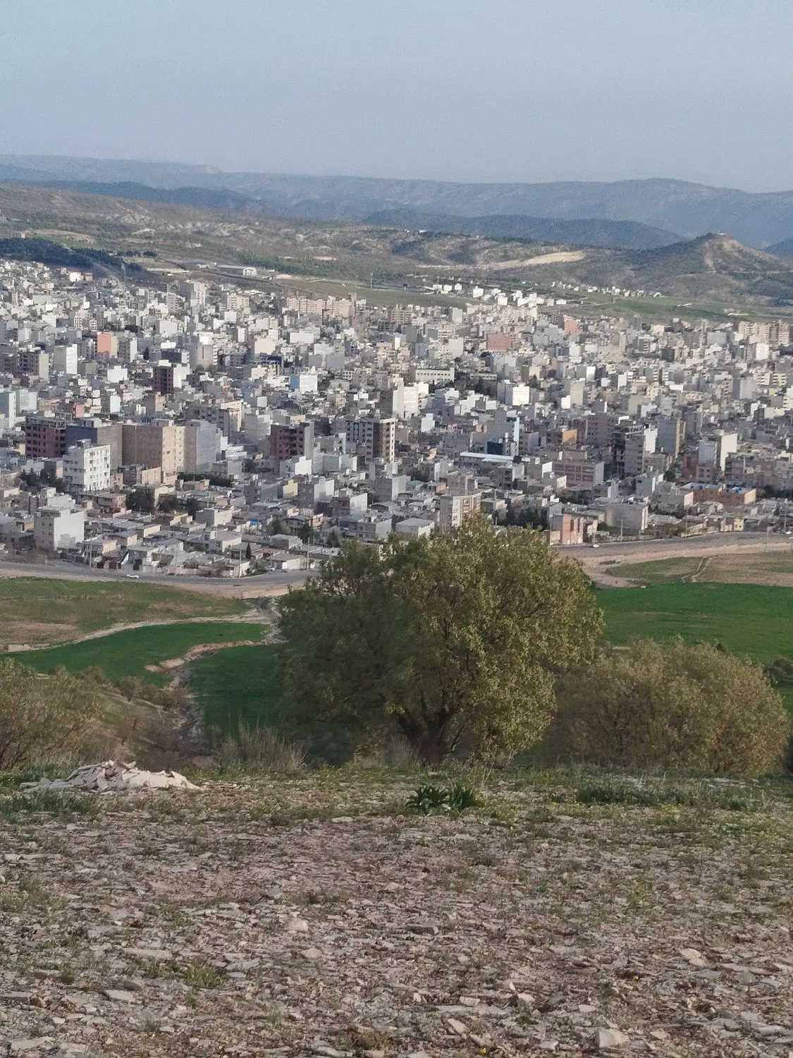 منزل زمینی کرایه داده میشود