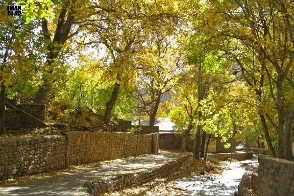 فروش زمین مسکونی ۲۰۰ متر شهمیرزاد