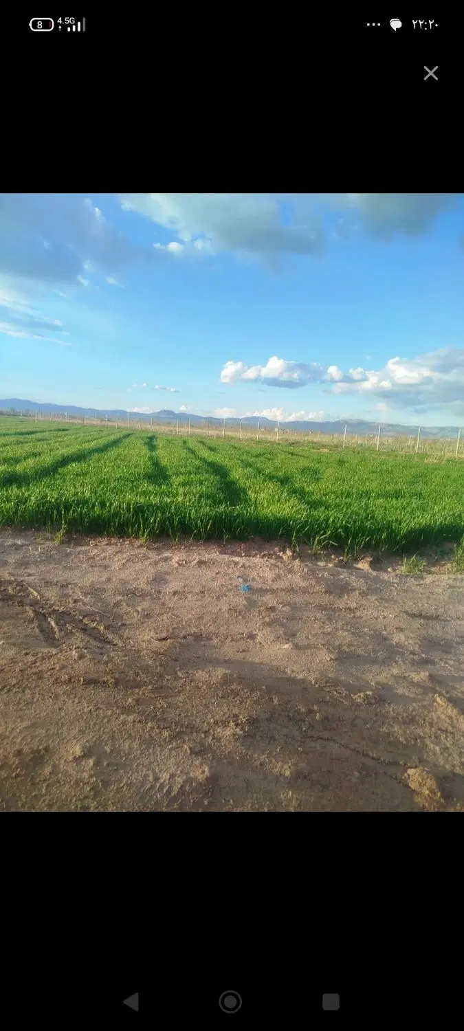 زمین باغی و کشاورزی آینده دار