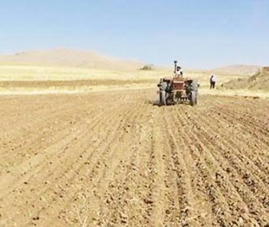 زمین زراعی